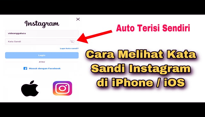 cara_melihat_kata_sandi_ig.png