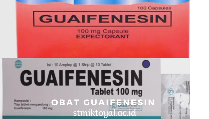 Obat Guaifenesin Dan Efek Samping