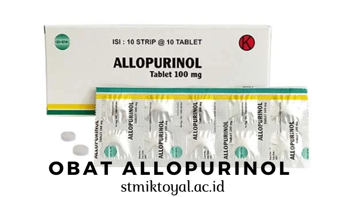 Cara Dan Kegunaan Allopurinol