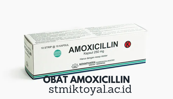 Fungsi Obat Amoxicillin Trihydrate