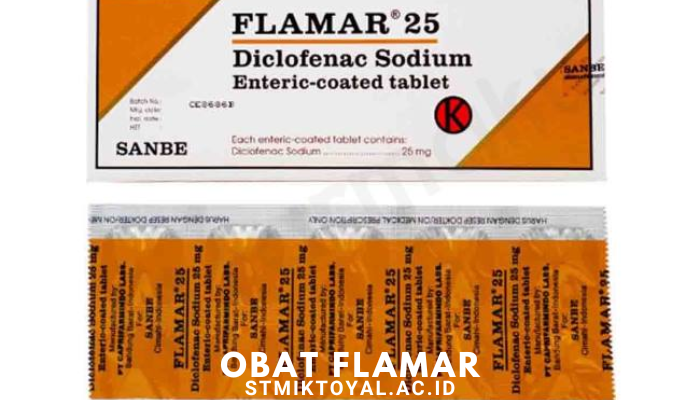 Kegunaan Obat Flamar Dan Efek Samping