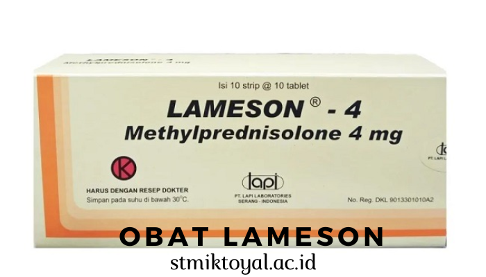 Obat Lameson Dan Penjelasannya