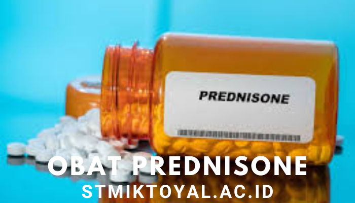 Obat Prednisone Dan Efek Samping