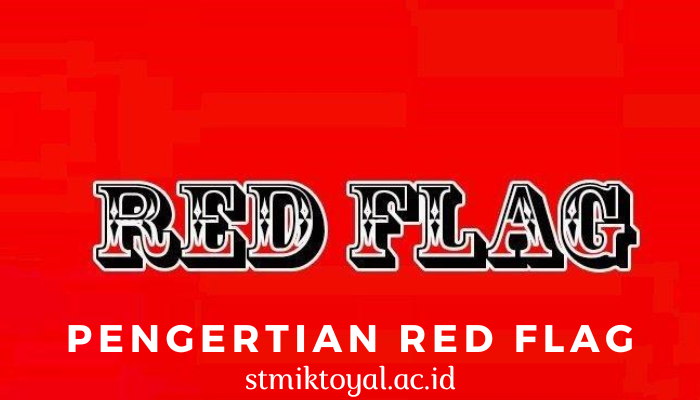 Mengenali Arti Red Flag Dan Contohnya