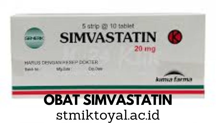 Cara Dan Kegunaan Simvastatin